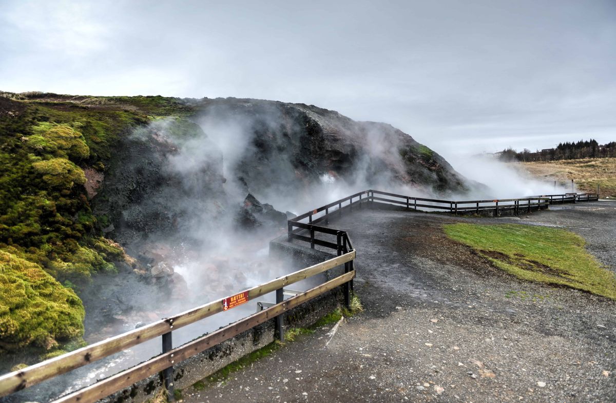 Deildadrtunguhver, Iceland