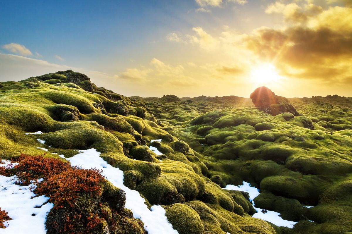 Eldhraun Lava Fields, Iceland
