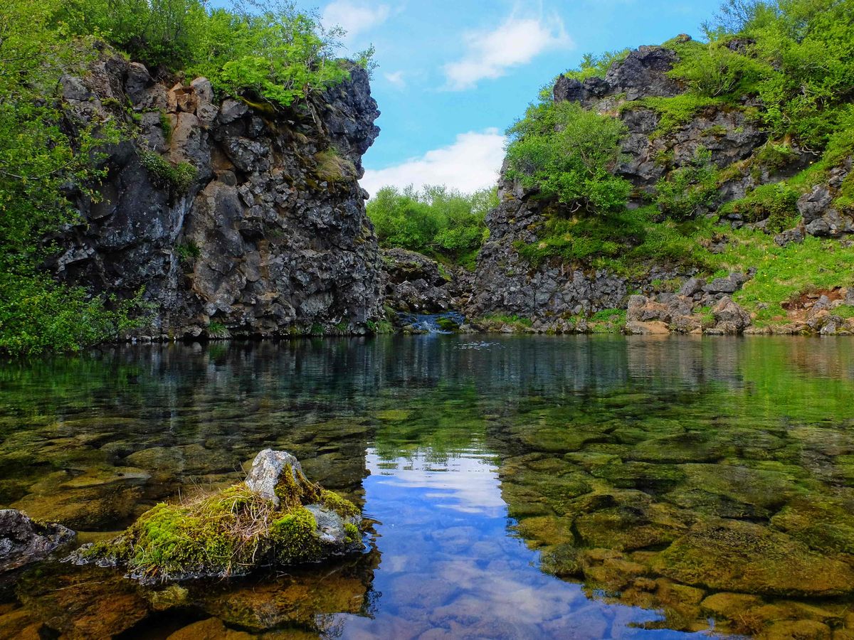 Paradísarlaut, Iceland